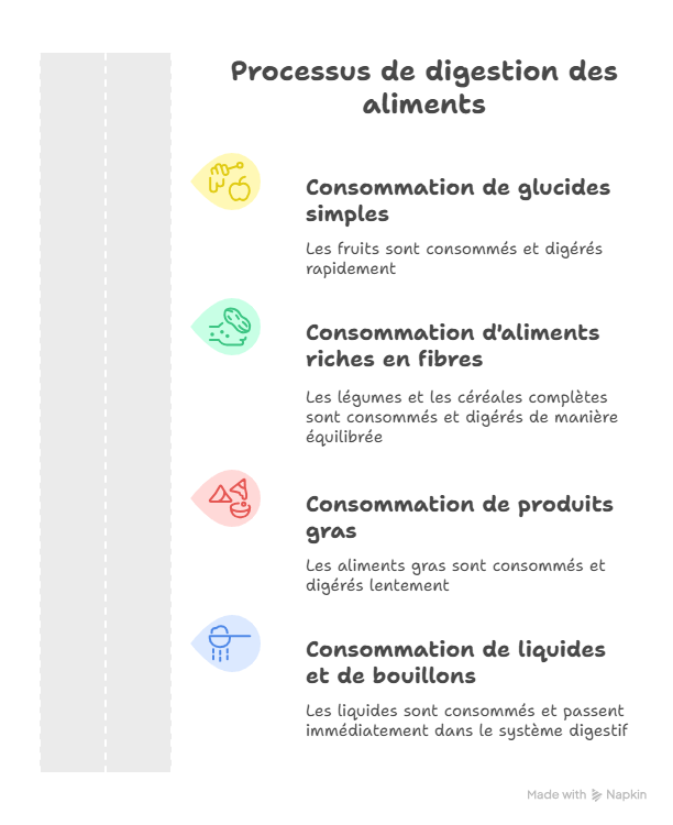 digestion aliments : le voyage de ton repas en 3 étapes clés