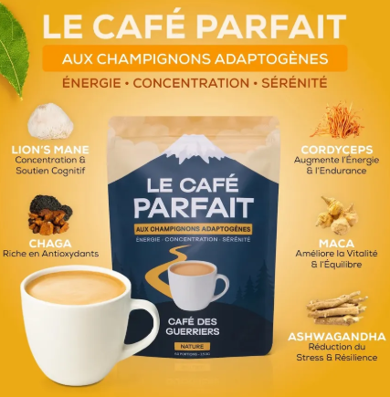 Café adaptogène aux champignons médicinaux Lion's Mane, Chaga, Cordyceps, Maca et Ashwagandha, pour énergie stable, concentration et gestion du stress.
