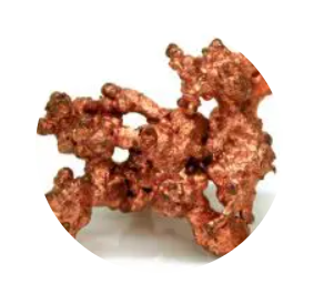 Cuivre (gluconate de cuivre)