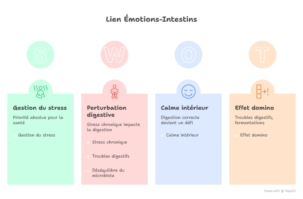 Infographie sur le lien émotions-intestins en 4 étapes : gestion du stress comme priorité santé, perturbation digestive causée par le stress chronique, calme intérieur favorisant une bonne digestion, et effet domino sur le microbiote en cas de déséquilibre.